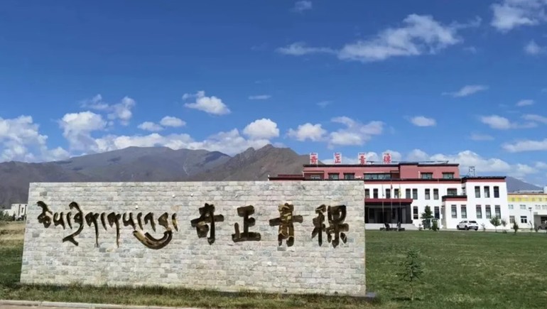 拉薩海關(guān)助力奇正青稞首批有機(jī)青稞、黑青稞出口香港